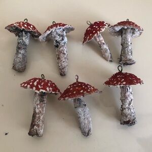 Mushrooms set.